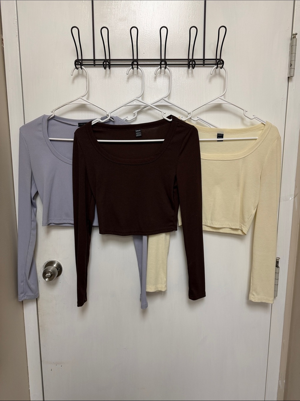 Women's Long Sleeve Scoop Neck Cropped Tops - Brown, Lavender, Cream